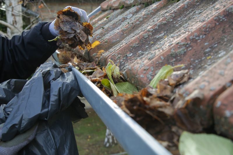 Debris-Free Gutters