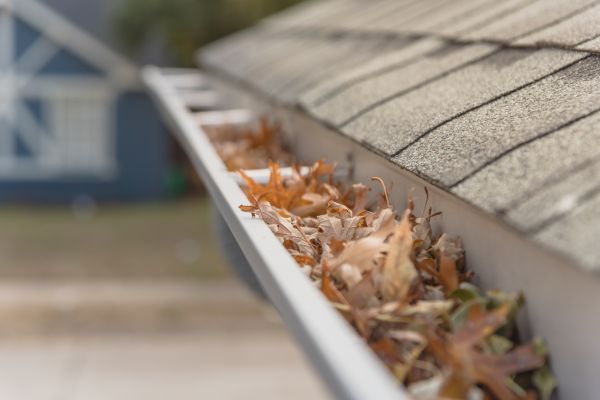 Leaf Barrier Installation in Franklin